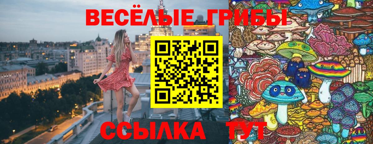 Псилоцибиновые грибы Cubensis Тамбов